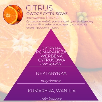 <B>CITRUS</B> BOWL CLIP zawieszka zapachowa do toalety
